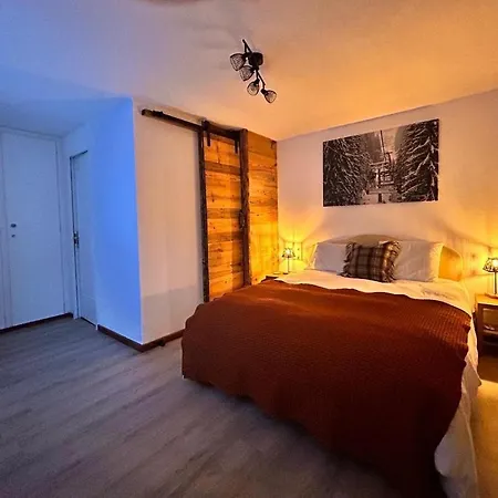 Appartement Des Cinq Samoëns